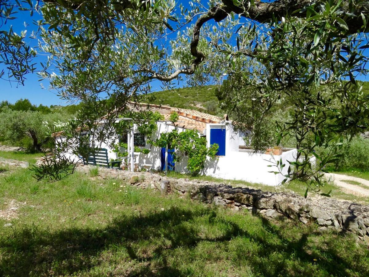 Casita Blanca Villa El Perelló Eksteriør billede
